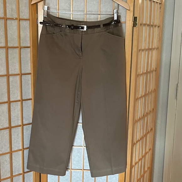 Modern Fit Straight Leg Taupe Cropped Pants Sz 4 - Picture 1 of 8